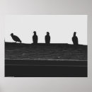 Suche nach vulture poster Vogelvogel