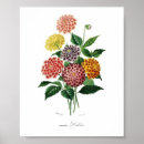Suche nach vintage botanische illustration poster Antike