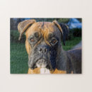 Suche nach boxen puzzle Welpen