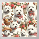 Recherche de west highland terrier posters Chien