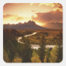 Recherche de tetons autocollants Parc