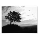 Recherche de arbre noir et blanc posters Monochrome