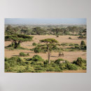 Suche nach afrikanische landschaft poster Elefant