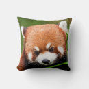 Suche nach roter panda kissen Pandas