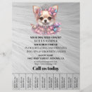 Recherche de toilettage prospectus Promotion