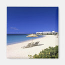 Suche nach anguilla magnete Tropisch