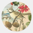 Suche nach roter vogel aufkleber Vintag