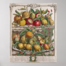 Recherche de douze mois posters Châteaux