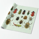 Recherche de insecte papier cadeau Faune