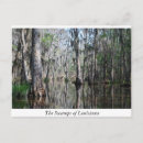 Recherche de marécages cartes postales Réflexion