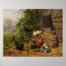 Recherche de rooster posters Vintage
