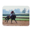 Recherche de cheval de magnets Pur