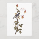 Recherche de oiseau libre cartes postales Nature