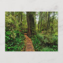 Recherche de pacific cartes postales Canada