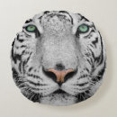 Recherche de yeux de tigre coussins Chat