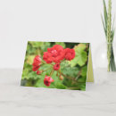 Recherche de toxique vœux cartes Photographiy