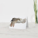 Suche nach stockente karten Vogel