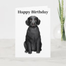 Suche nach happy labrador karten Schön