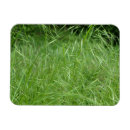 Suche nach betrüger magnete Natur