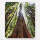 Suche nach mammutbaum mousepads Superstock