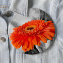Suche nach orange hintergrund buttons Blume