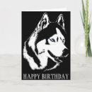 Suche nach siberian husky karten Jungtier