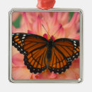 Suche nach kastanien ornamente Blume
