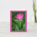 Suche nach pfingstrosen alle karten Rosa