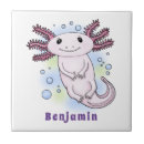 Recherche de salamandre carreaux Axolotl