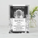Recherche de chat noir et blanc invitations Chaton