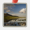Recherche de butte ornements Pittoresque
