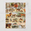 Recherche de mammifères cartes postales Animal