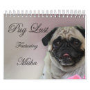 Suche nach mops kalender Tier