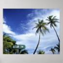 Suche nach miami beach poster Natur