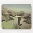 Suche nach indischer elefant mousepads Fauna