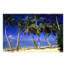 Suche nach cook islands poster Ozean
