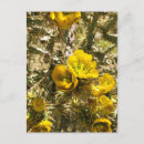 Recherche de flore cartes postales Nature