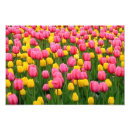 Recherche de copie de tulipe Ressort