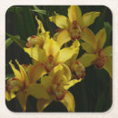 Recherche de orchidée dessous de verres Fleur