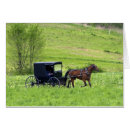 Suche nach pferd und buggy postkarten Tier