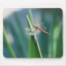 Suche nach libelle mousepads Blatt