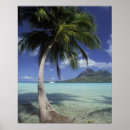 Suche nach französisch polynesien poster Strand