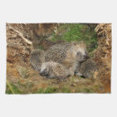 Suche nach niedlicher igel geschirr tücher Tierwild