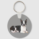 Recherche de de terrier de boston porteclés Chiots