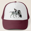 Recherche de hunting hats Breed