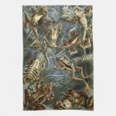 Suche nach tote geschirr tücher Amphibien