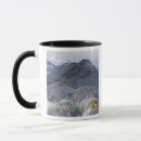 Recherche de la bavière tasses L'europe