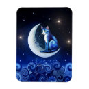 Recherche de chats rectangulaires magnets Espace