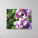 Suche nach honig leinwandbilder Blume