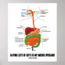 Recherche de digestif posters Anatomie